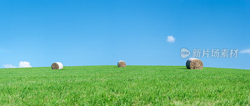 全景春季景观53MPix XXXXL大小-草垛，草地